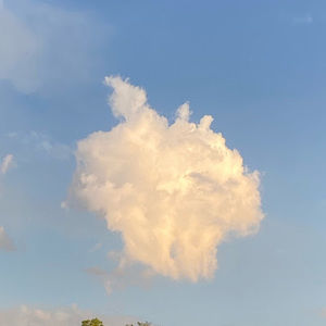 Meet your Posher, Carolyn